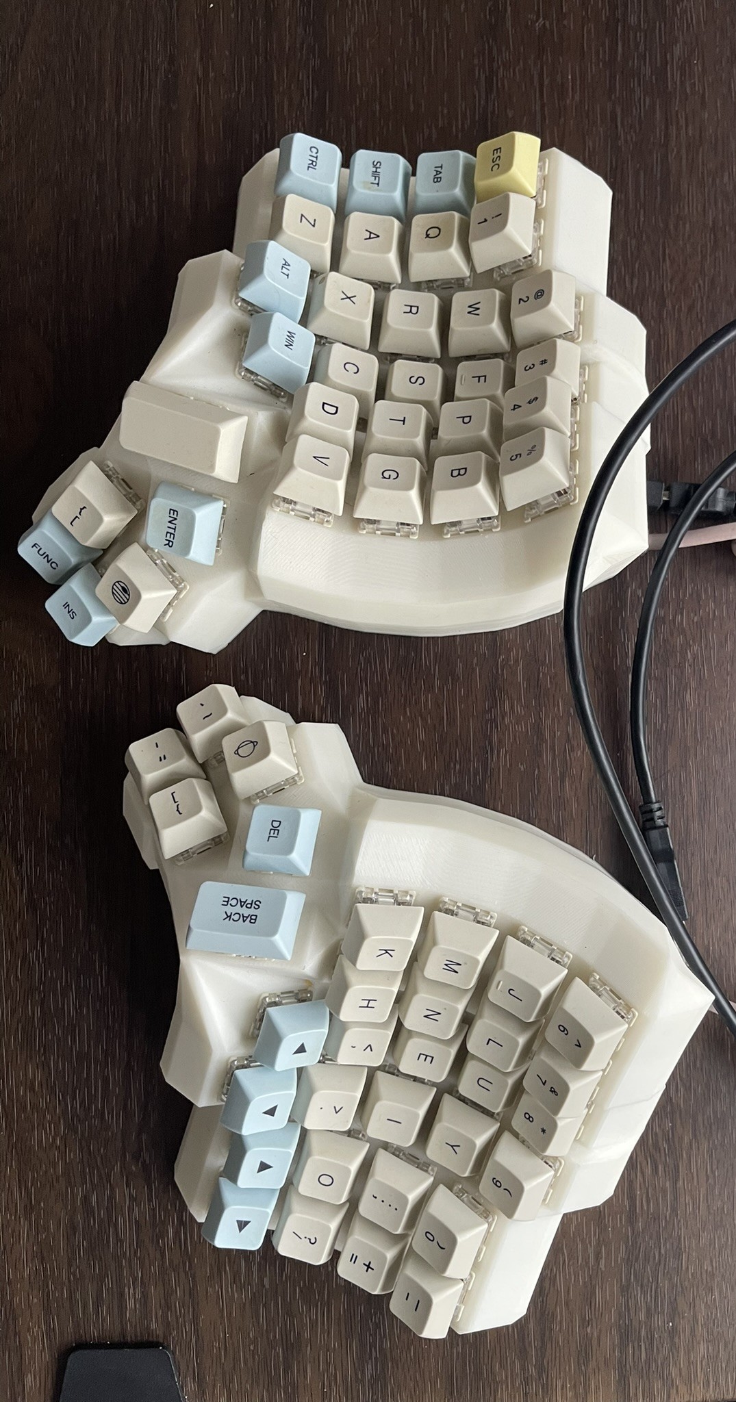 dactyl